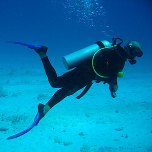 Go on a Skuba diving